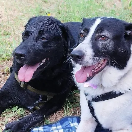 Casa Al Maestro Bed & Breakfast