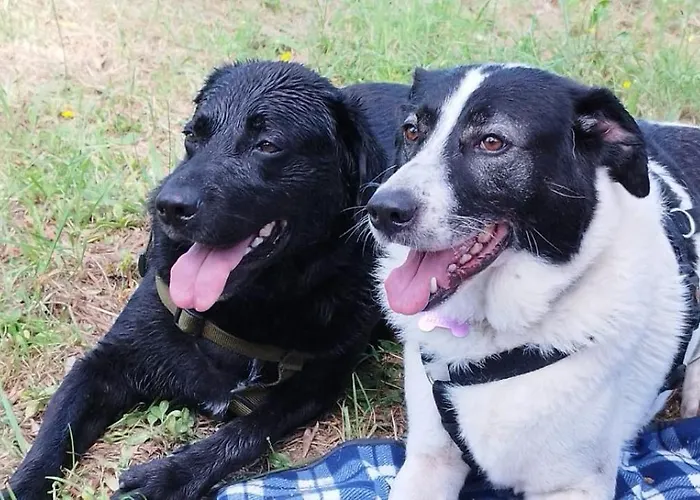 Casa Al Maestro Panzió